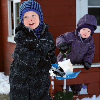 Schneeschaufeln (schwarz und blau)